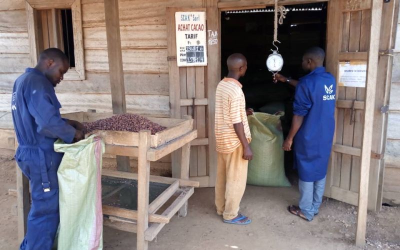 Association des Exportateurs de Cacao-Café (ASSECCAF)